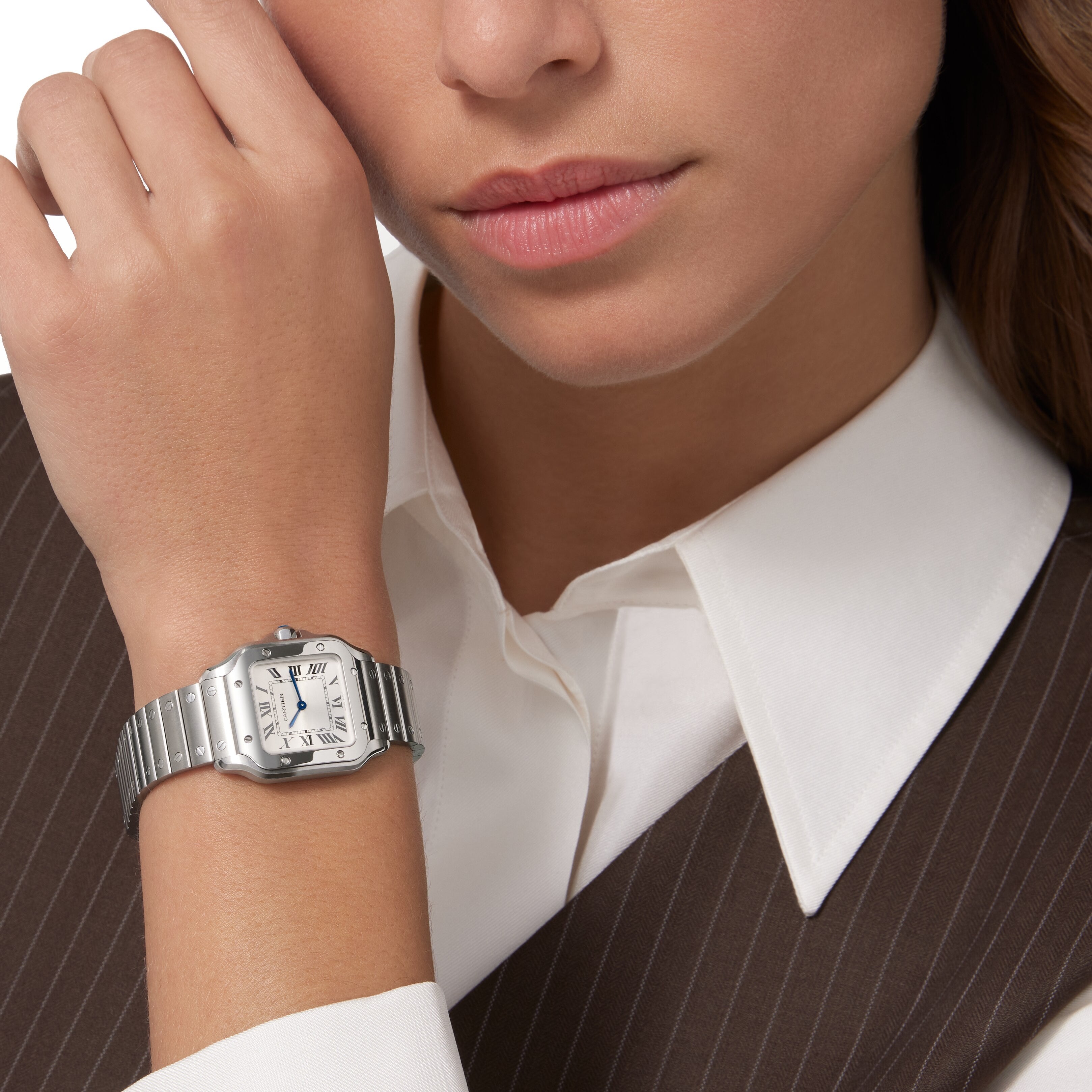 Santos De Cartier | 27mm, Steel, Silver Dial